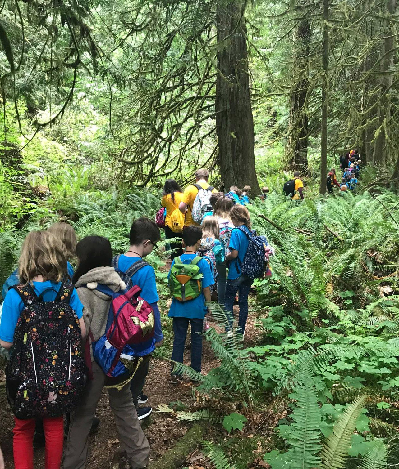 Campers on Big Tree Trail edited