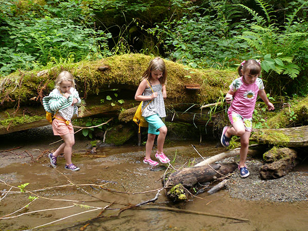 Exploring Salmon Creek