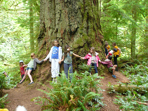 Enjoying Big Tree