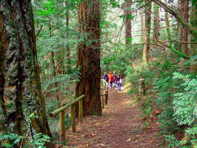 Family walking down the trail to the theater