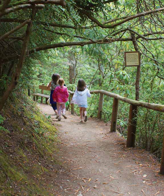 Walking down the trail to the theater